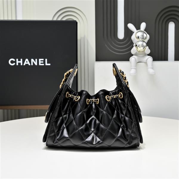 2026131204545919 850